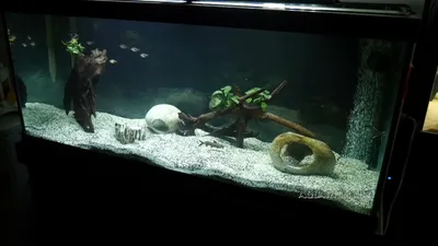 Аквариум под ключ от Maksimov`s Farm - красивый аквариум без хлопот